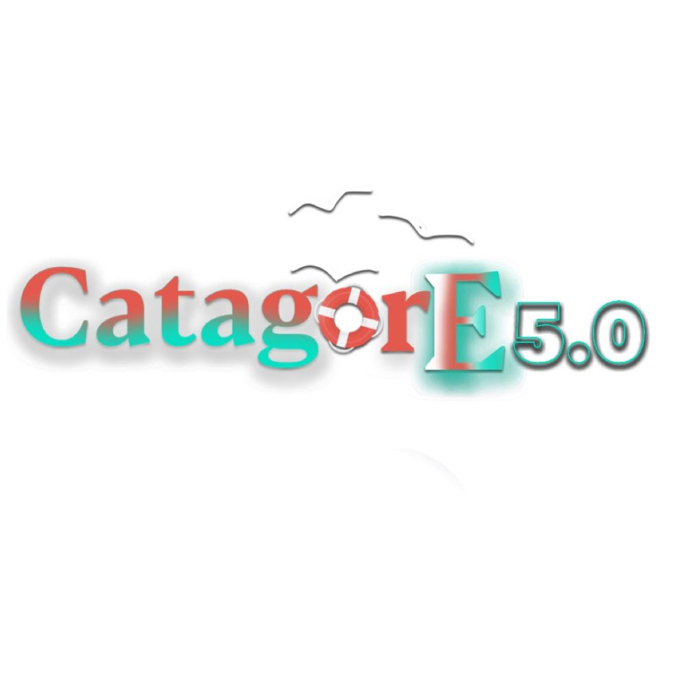 CatagorE_5.0 LLC